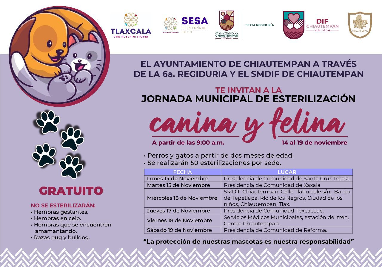 En Chiautempan, 'Campaña de esterilización Canina y Felina'